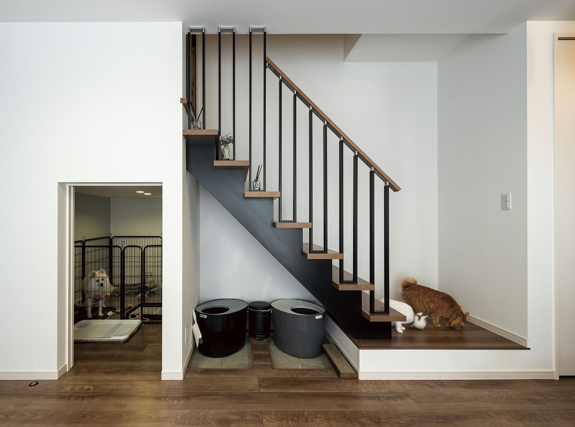 ハーフ収納は愛犬の部屋に。デッドスペースになりがちな階段下も、猫用のトイレスペースとして活用しています。